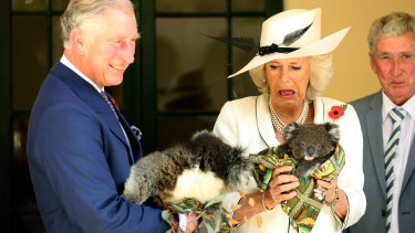 Prince Harry and Meghan mark 60 years of royals cuddling ...