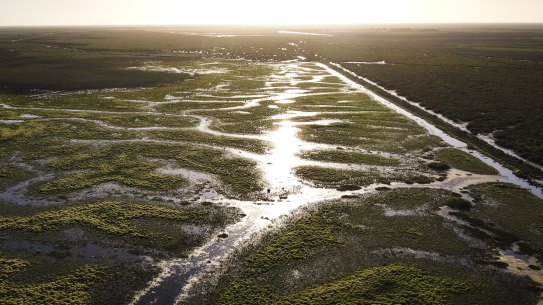Water flows for the first time since 2016 into the Gayini wetlands with flood waters from the Lachlan River trickling down.