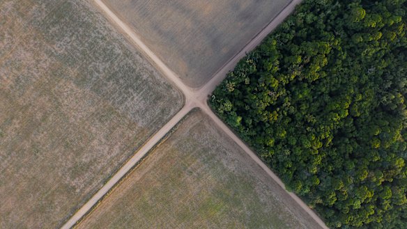 Deforestation of the Amazon Rainforest is at a 15-year high.