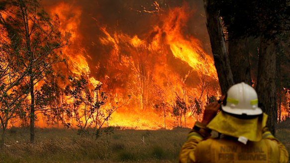 A firefighter watches the Old Bar fire on Saturday. 