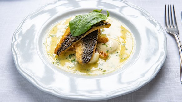 Rock flathead with vermouth sauce at Gimlet.