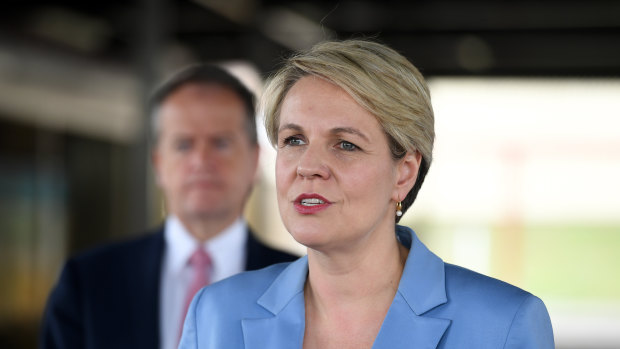 Tanya Plibersek's policy focus on government schools is appropriate.