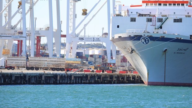 Sheep and cattle being loaded on to the Al Messilah in 2018.