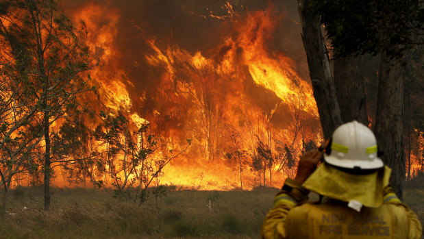 A firefighter watches the Old Bar fire on Saturday. 