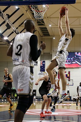 Josh Giddey soars for a dunk during the NBL Cup in March.