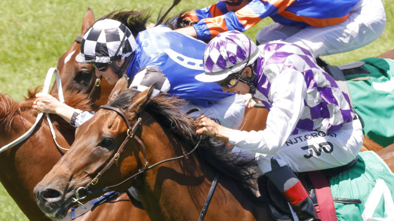 Race-by-race preview and tips for Rosehill on Saturday