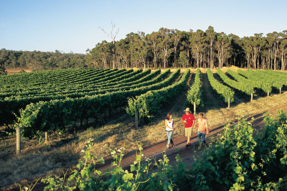 A Margaret River winery