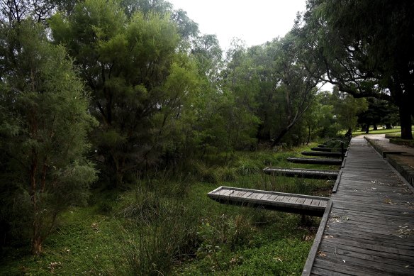 Until the past decade you could launch a boat on Loch McNess in Yanchep National Park, fed by the Gangara Mound. But now the water has receded 10 metres from these jetties.