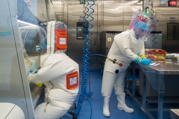 Scientists at the epidemiological laboratory in Wuhan's Institute of Virology. 