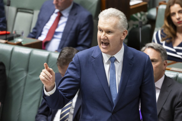 Minister for Employment and Workplace Relations and Minister for the Arts Tony Burke.