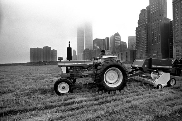 A tractor pulls a hay baler for the artwork “Wheatfield — A Confrontation” by Agnes Denes at the temporary beach, in Manhattan, August 18, 1981. 