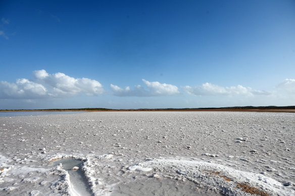 Lake MacLeod is a salt lake near the WA coastal town of Carnarvon which was considered for Ramsar status by the state government in 2006.