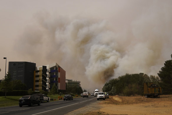 A bushfire burns on Kallaroo road in Pialligo just near Canberra Airport.