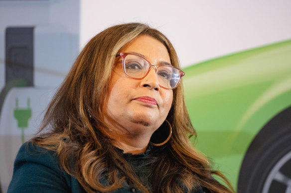 Senator Meryn Falke of the Green Party.