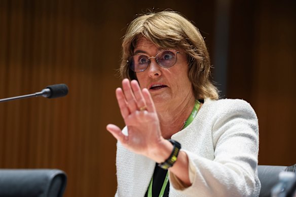 RBA governor Michele Bullock during a hearing with the House of Representatives Standing Committee on Economics at Parliament House in Canberra today.