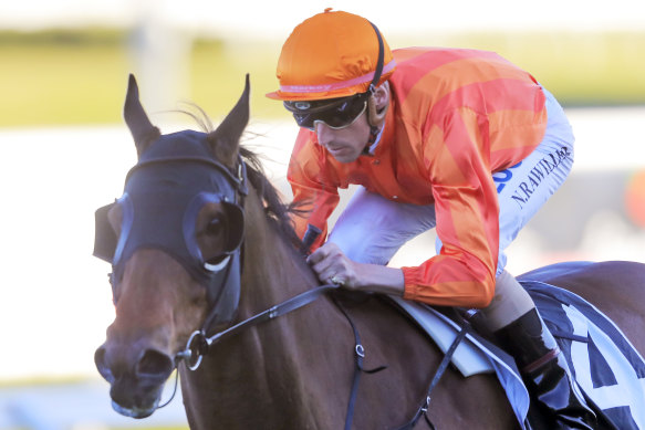 Dreamforce ready to fulfil his group 1 potential after ditching the blinkers.