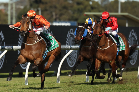 Mogo Magic (orange silks) kicks away from his Highway rivals to stay unbeaten at Rosehill earlier this month.
