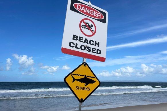 Woorim Beach at Bribie Island was closed after a fatal shark attack.