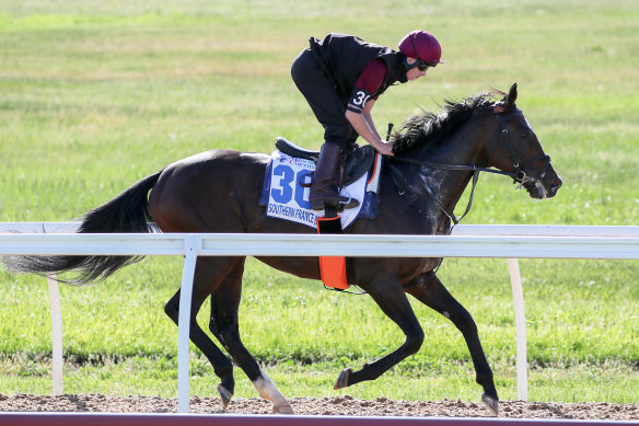 Southern France has a gallop earlier this month.