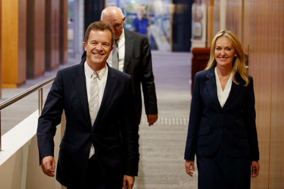 New NSW Liberal leader Mark Speakman and deputy leader Natalie Ward.