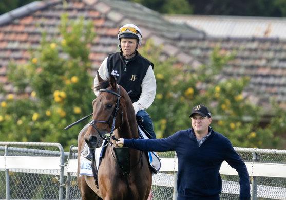 Trainer James Ferguson leads Melbourne Cup favourite Deauville Legend and Kerrin McEvoy onto Werribee last week.