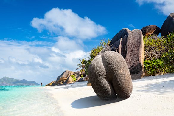 Coco de mer is the largest  nut in the world and is found in the Seychelles.