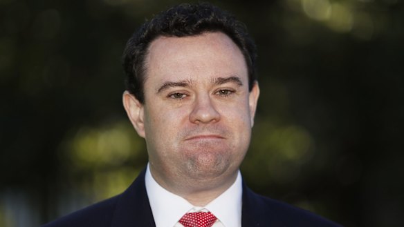 Sports Minister, Stuart Ayres, said NSW was committed to two world class rectangular stadiums. 