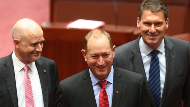 Senator Anning escorted by David Leyonhjelm and Cory Bernardi for his swearing in.