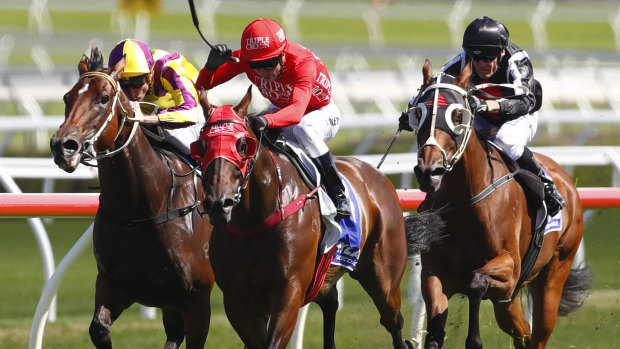 Red flash: Kerrin McEvoy pilots Redzel to victory in the Challenge Stakes at Randwick.