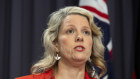 Home Affairs Minister Clare O’Neil has foreshadowed new laws to re-detain some of the people released following the High Court ruling.