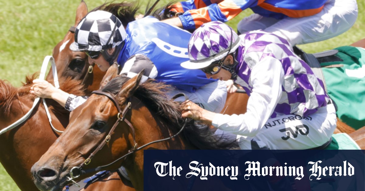 Race-by-race preview and tips for Nowra on Sunday