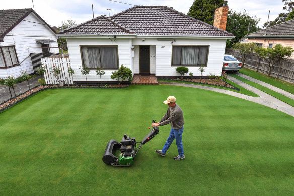 An immaculate lawn in Oakleigh South that once made news.