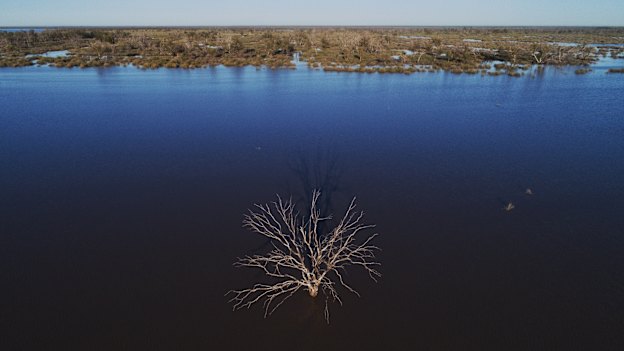 The Narran Lakes are a terminal wetlands in northern NSW, relying on flows from the Condomine-Balone system, one of the largest in the Murray-Darling Basin.