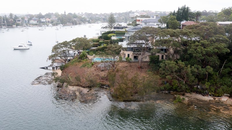 Sydney gardener fined over destruction of 287 foreshore trees