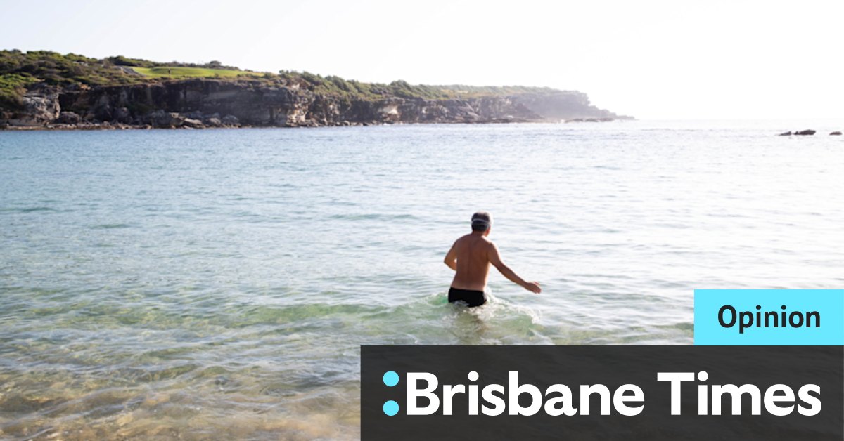 The shark in the mind of every ocean swimmer - Vimarsana News