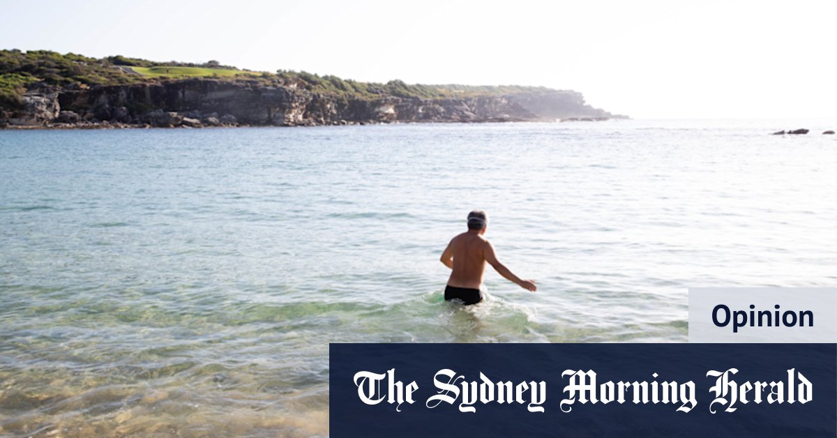 The shark in the mind of every ocean swimmer - Vimarsana News