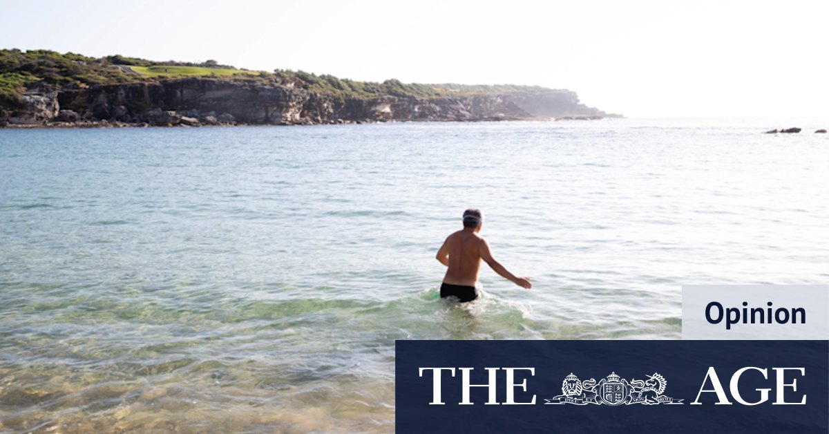 The shark in the mind of every ocean swimmer - Vimarsana News