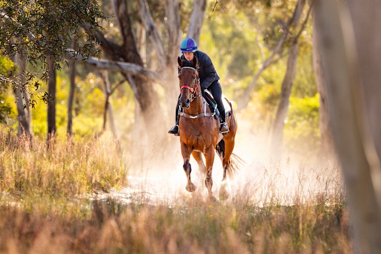 Rider Emily Brown takes Torranzino for a run on a bush track.