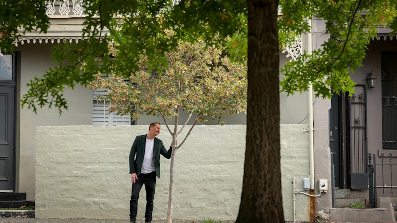 The simple fix that will cool our streets – if only we get it right