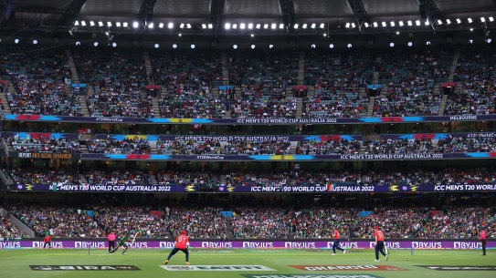 The World Cup saw some spectacular cricket on sporting pitches. 