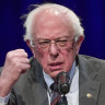 Vocal, plentiful, abusive: Bernie Sanders online supporters