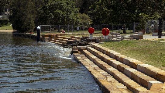 Putney Beach which is is opening as a swim site on Parramatta River this coming weekened. Photographed in Sydney on January 13, 2025. Photo: Dominic Lorrimer .