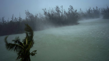 Strong winds from Hurricane Dorian blow the tops of trees and brush while whisking up water from the surface of a canal that leads to the sea, seen from the balcony of a hotel in Freeport, Grand Bahama, Bahamas.