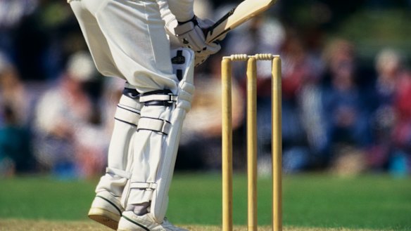 Cricket season could still go ahead. 