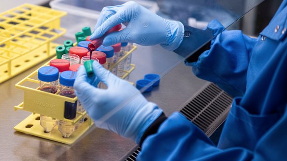 Blood samples from coronavirus vaccine trials are handled inside the University of Oxford's Jenner Institute. 