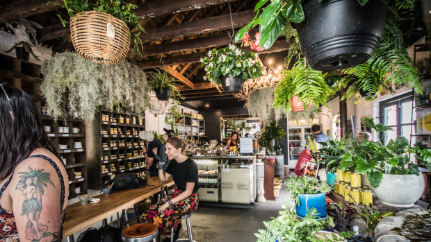 The Deadwood interior; part nursery, part bazaar, part emporium.