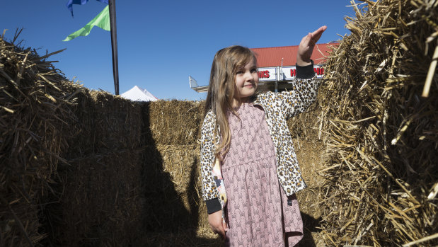 Evie McGee, from O'Connor, in the straw maze at the Collector Village Pumpkin Festival.