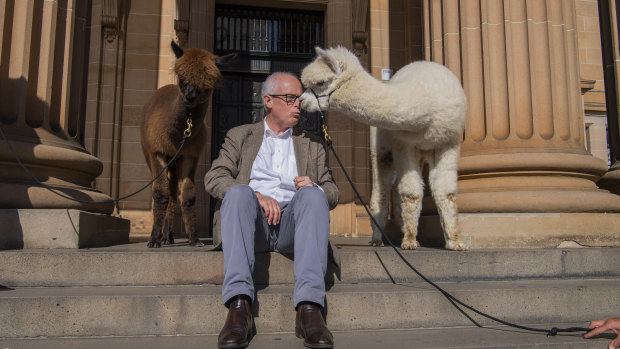 NSW's State Librarian John Vallance gets smooched by an alpaca before a million children listened -at the same time - to Matt Cosgrove's Alpacas with Maracas. 