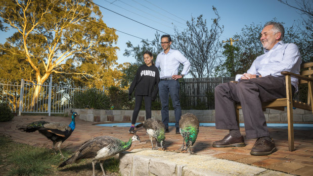 Demi and George Katheklakis, and Tim DeWan are fond of the peafowl that visit their Narrabundah homes. 