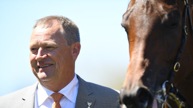 In the spotlight:  Tony McEvoy thinks Sunlight will beat the boys in the Coolmore Stud Stakes on Saturday.